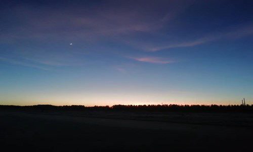 教师个人师德自查报告最新5篇